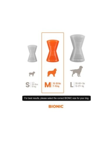 BIONIC Bone