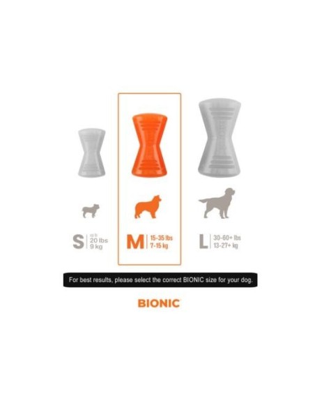 BIONIC Bone