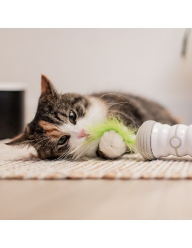 Jouet électronique pour chats - Double spinner blanc/vert
