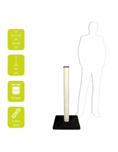 Griffoir classic high spot