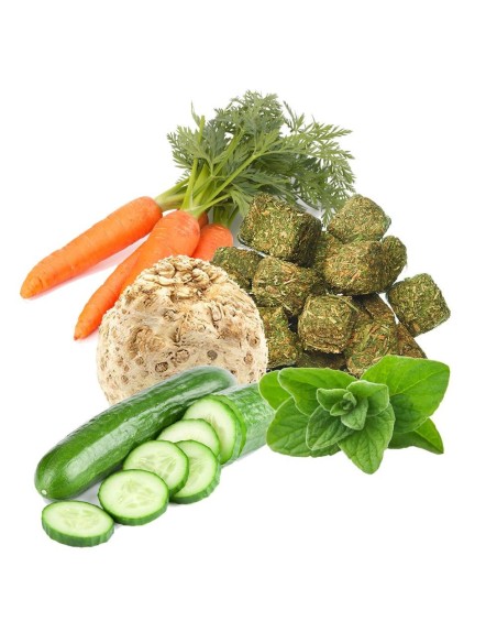 Aliment Puur Lapin 2kg - Witte Molen