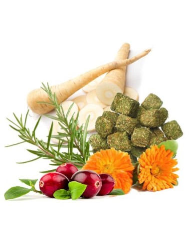 Aliment PUUR Cochon d'inde sensitive 0,8kg - Witte Molen