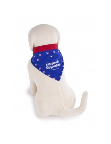 Bandana Equipe de Supporters - Collection Allez Les Bleus - accessoire pour chiens