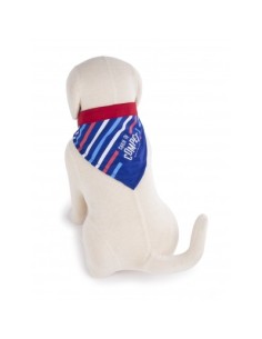 Bandana Chien de compet' - Collection Frenchy - accessoire pour chiens 2