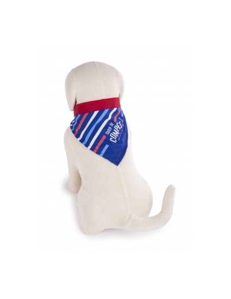 Bandana Chien de compet' - Collection Frenchy - accessoire pour chiens
