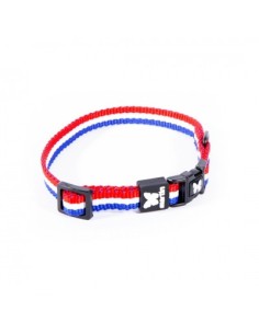 Collier tricolore pour chien