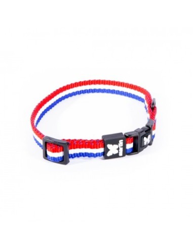 Collier tricolore pour chien