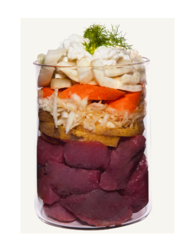 Terra Canis Gentle Meal – Régime Gastro-Intestinal au Veau