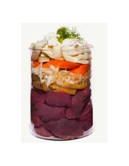 Terra Canis Gentle Meal – Régime Gastro-Intestinal au Veau