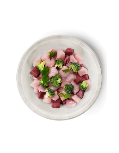 Terra felis pour chaton au boeuf et au lapin  (70g)