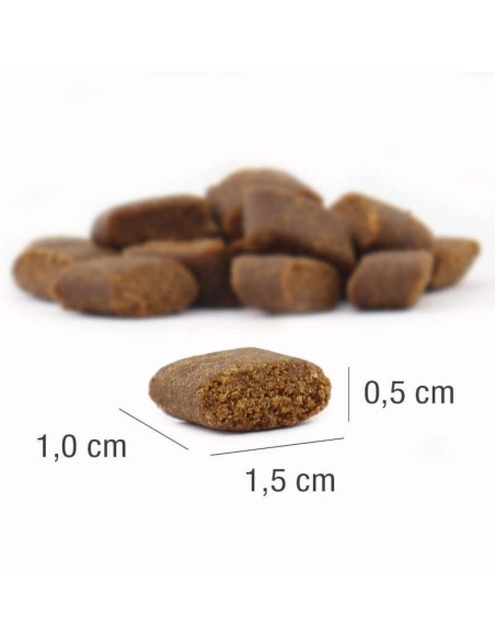 Croquettes au Porc  pour Chien Adulte - Platinum 1,5Kg