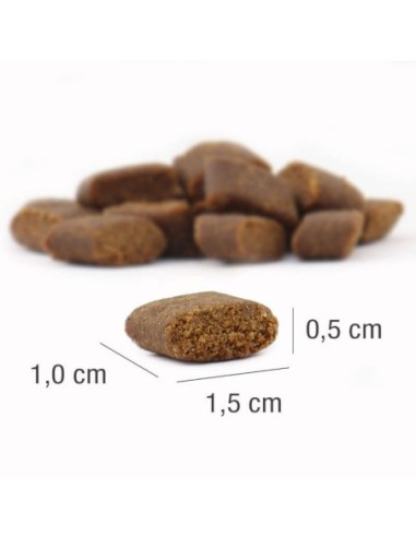Croquettes à l'agneau  pour Chien Adulte - Platinum 1.5kg