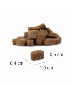 Croquettes au Poulet mini pour Chien Adulte - Platinum 900g 2