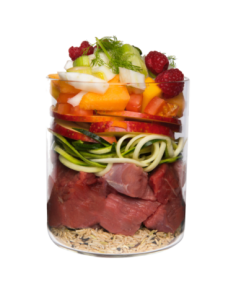 Terra Canis sans céréales sanglier - Nourriture humide pour chien 2