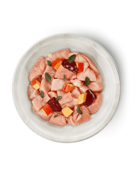 Terra Felis poulet dinde