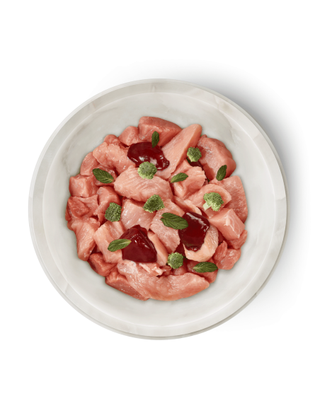 Terra Felis lapin dinde