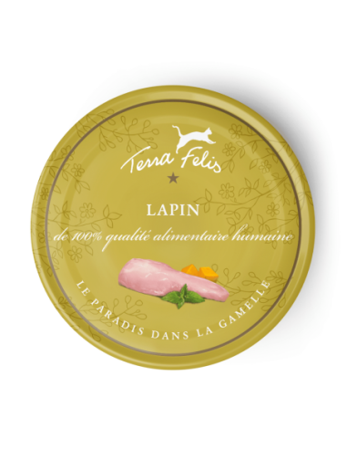 Terra Felis lapin