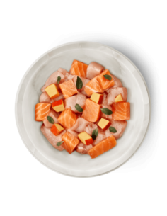 Terra Felis saumon poulet 2