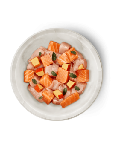 Terra Felis saumon poulet