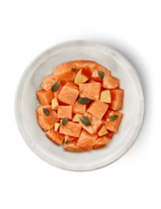 Terra Felis saumon 2