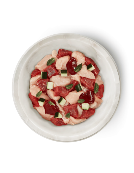 Terra Felis poulet agneau