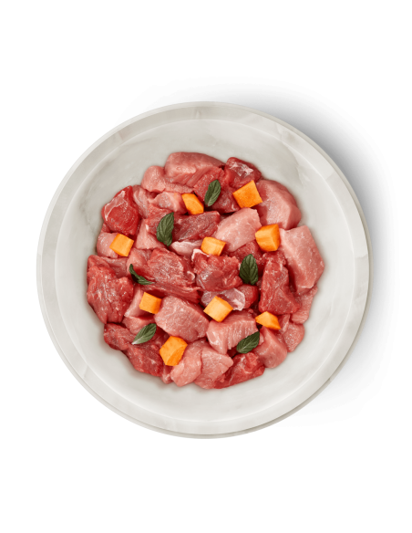 Terra Felis boeuf lapin