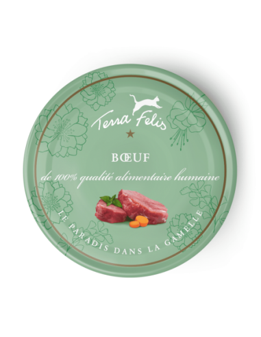 Terra Felis boeuf