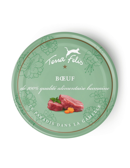 Terra Felis boeuf