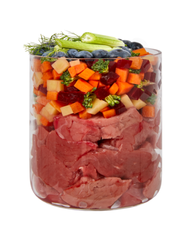 Terra Canis ragout - boeuf - Nourriture humide pour chien