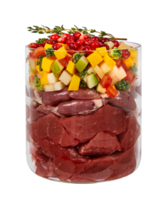 Terra Canis ragout - poulet - Nourriture humide pour chien