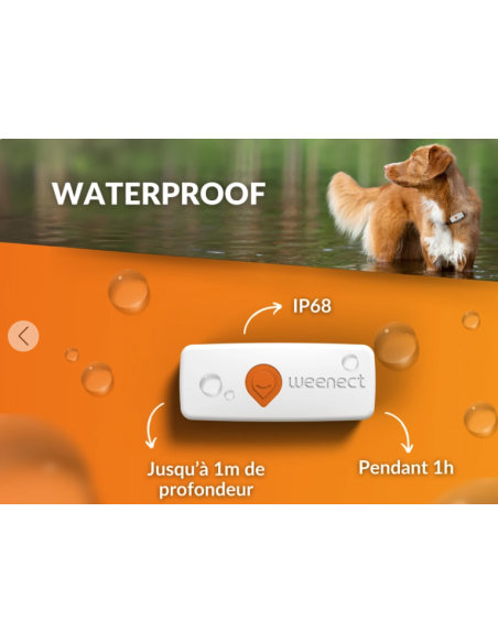 Collier GPS pour petit chien- Weenect XS - blanc ou noir