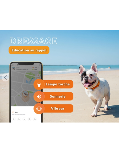 Collier GPS pour petit chien- Weenect XS - blanc ou noir