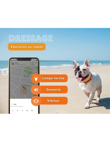 Collier GPS pour petit chien- Weenect XS - blanc ou noir