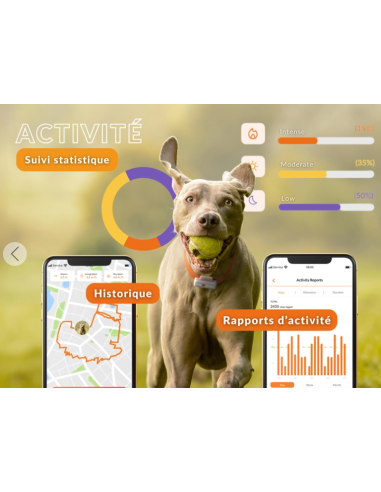 Collier GPS pour petit chien- Weenect XS - blanc ou noir