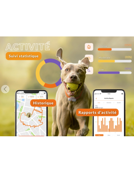 Collier GPS pour petit chien- Weenect XS - blanc ou noir
