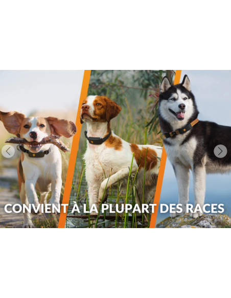 Collier GPS pour chien- Weenect XT - Noir ou Orange
