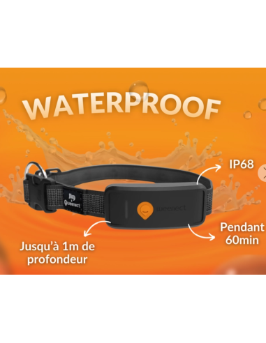 Collier GPS pour chien- Weenect XT - Noir ou Orange