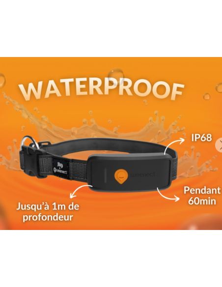 Collier GPS pour chien- Weenect XT - Noir ou Orange