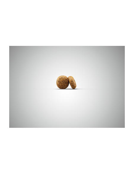Croquettes MINIWELL JOSERA pack de 4*900gr : 4,5kg