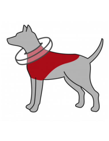 Collerette de protection, gonflable Trixie