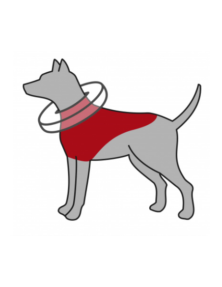 Collerette de protection, gonflable Trixie