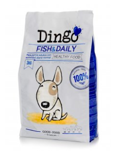 Dingo Fish & Daily