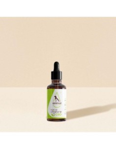 Huile 2% CBD ANIMAL Chien et chat - 50ml de chanvre biologique