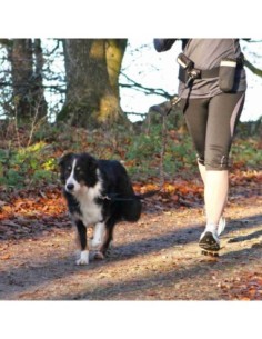 Ceinture ventrale avec laisse 2