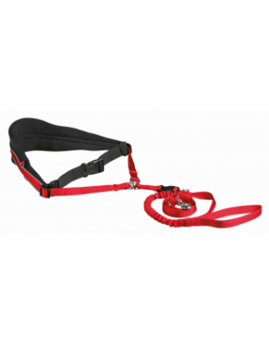 Ceinture ventrale avec laisse pour chiens de moyenne et grande taille Trixie
