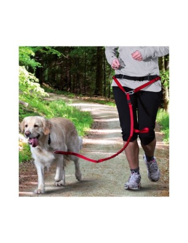 Ceinture ventrale avec laisse pour chiens de moyenne et grande taille Trixie