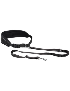 Ceinture ventrale avec laisse, doublée en néoprène