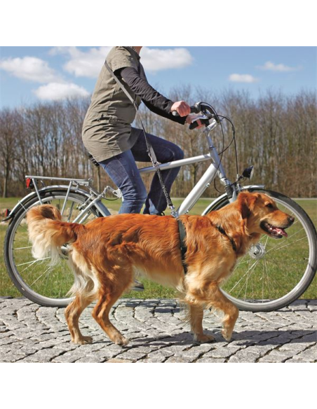 Laisse vélo et jogging