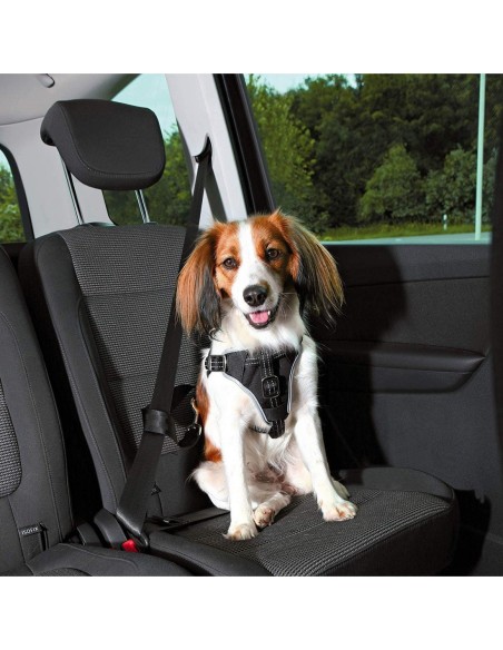 Harnais pour voiture Dog Comfort
