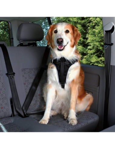 Harnais pour voiture Dog Comfort